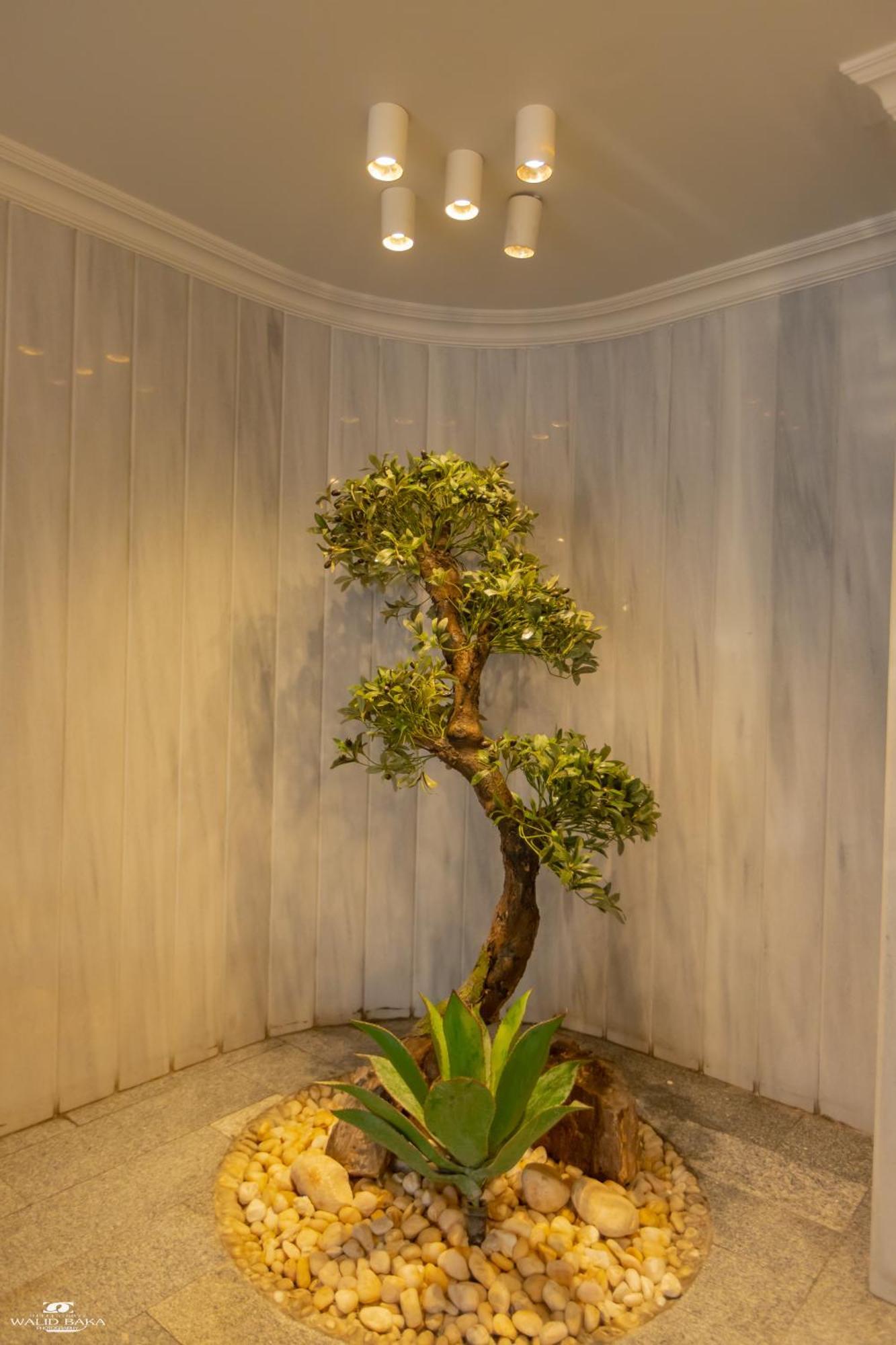 קהיר El Farida Hotel מראה חיצוני תמונה
